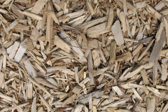 biomass boilers Winewall